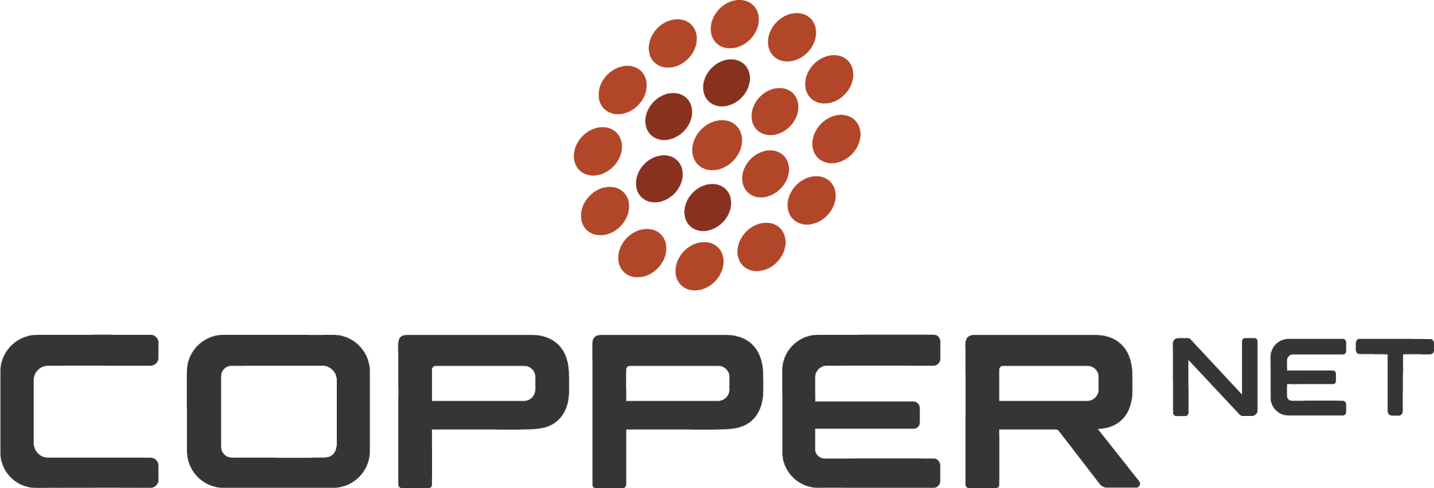 Copper Net Logo